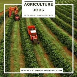 Agriculture Job In Canada | North America